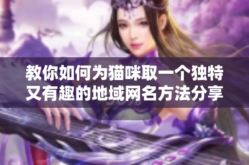 教你如何为猫咪取一个独特又有趣的地域网名方法分享