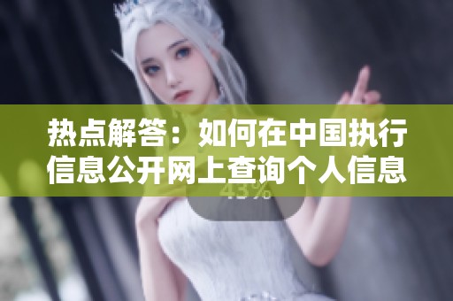 热点解答：如何在中国执行信息公开网上查询个人信息的详细步骤