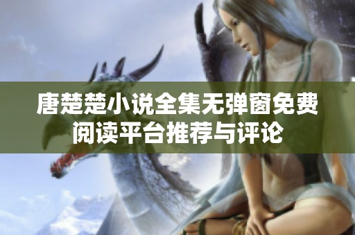 唐楚楚小说全集无弹窗免费阅读平台推荐与评论