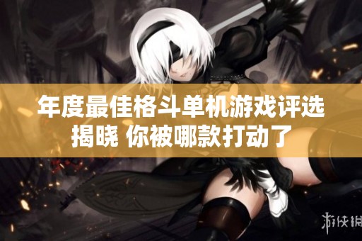 年度最佳格斗单机游戏评选揭晓 你被哪款打动了