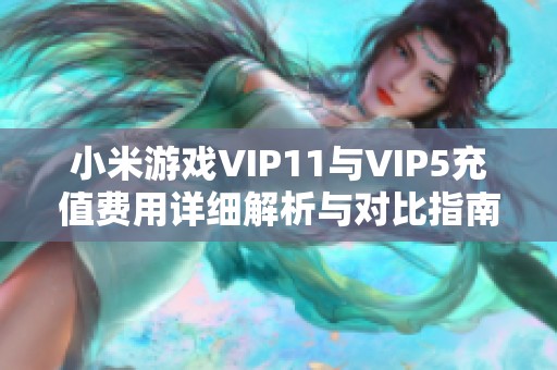 小米游戏VIP11与VIP5充值费用详细解析与对比指南