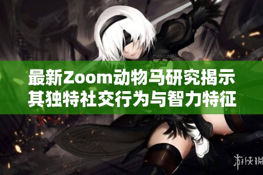 最新Zoom动物马研究揭示其独特社交行为与智力特征