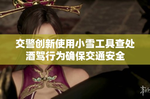 交警创新使用小雪工具查处酒驾行为确保交通安全