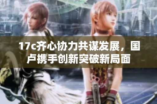 17c齐心协力共谋发展，国卢携手创新突破新局面