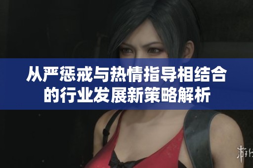 从严惩戒与热情指导相结合的行业发展新策略解析