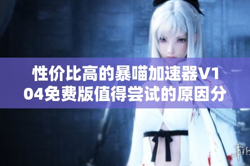 性价比高的暴喵加速器V104免费版值得尝试的原因分析