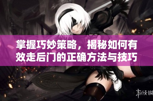掌握巧妙策略，揭秘如何有效走后门的正确方法与技巧