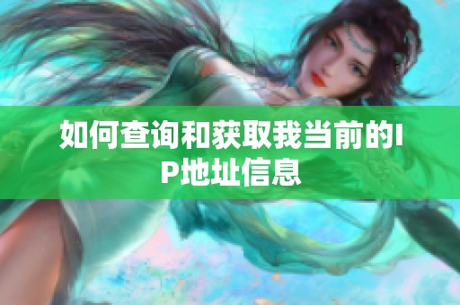 如何查询和获取我当前的IP地址信息