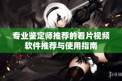 专业鉴定师推荐的看片视频软件推荐与使用指南
