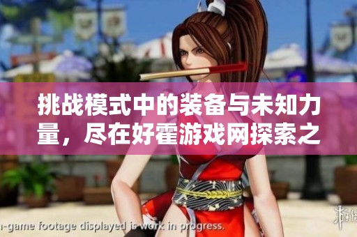 挑战模式中的装备与未知力量，尽在好霍游戏网探索之旅