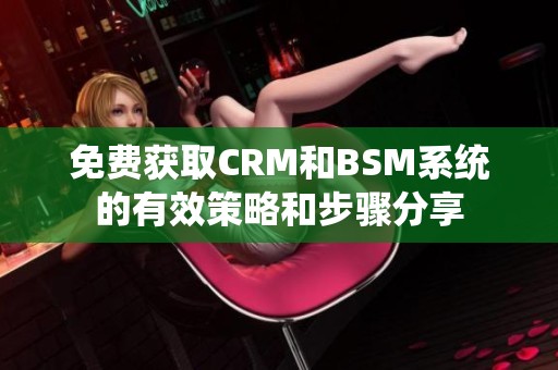免费获取CRM和BSM系统的有效策略和步骤分享