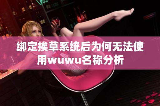 绑定挨草系统后为何无法使用wuwu名称分析