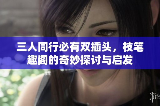 三人同行必有双插头，枝笔趣阁的奇妙探讨与启发