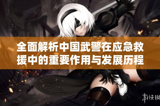 全面解析中国武警在应急救援中的重要作用与发展历程