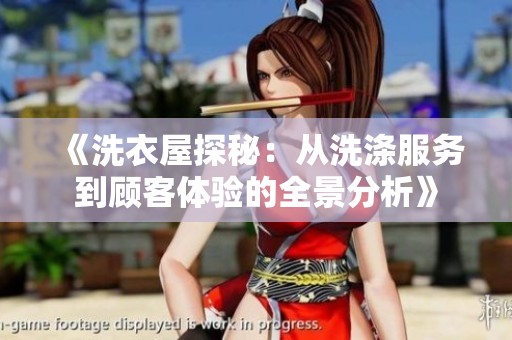 《洗衣屋探秘：从洗涤服务到顾客体验的全景分析》
