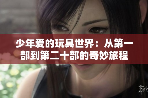 少年爱的玩具世界：从第一部到第二十部的奇妙旅程