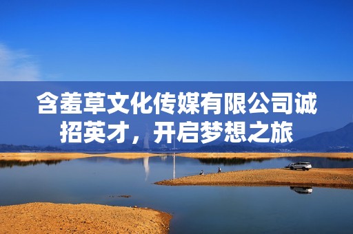 含羞草文化传媒有限公司诚招英才，开启梦想之旅