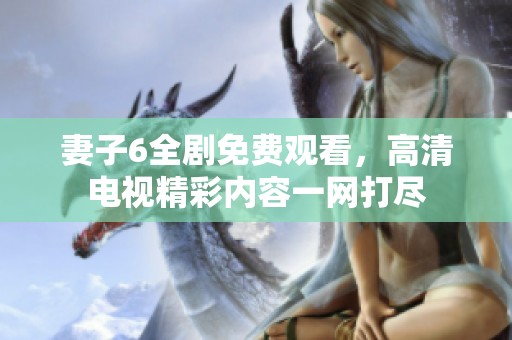 妻子6全剧免费观看，高清电视精彩内容一网打尽
