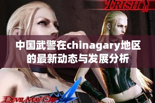 中国武警在chinagary地区的最新动态与发展分析