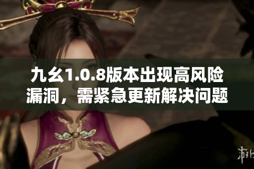 九幺1.0.8版本出现高风险漏洞，需紧急更新解决问题