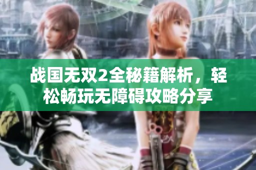 战国无双2全秘籍解析，轻松畅玩无障碍攻略分享