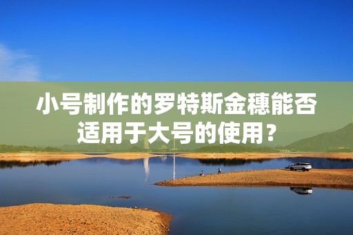 小号制作的罗特斯金穗能否适用于大号的使用？
