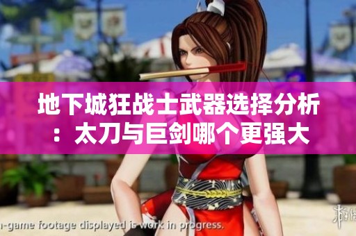 地下城狂战士武器选择分析：太刀与巨剑哪个更强大