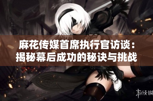 麻花传媒首席执行官访谈：揭秘幕后成功的秘诀与挑战