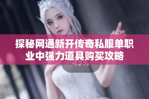 探秘网通新开传奇私服单职业中强力道具购买攻略