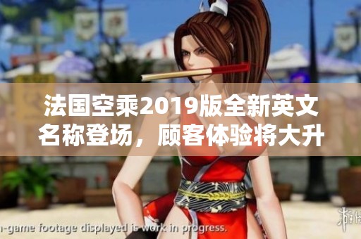 法国空乘2019版全新英文名称登场，顾客体验将大升级