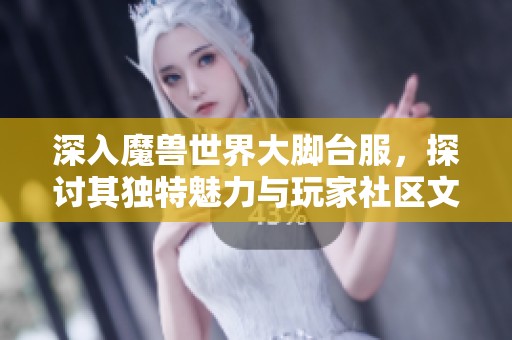 深入魔兽世界大脚台服，探讨其独特魅力与玩家社区文化