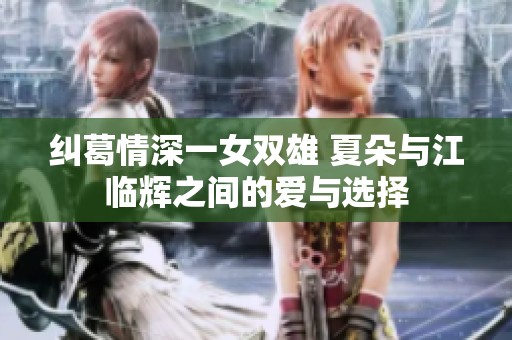纠葛情深一女双雄 夏朵与江临辉之间的爱与选择