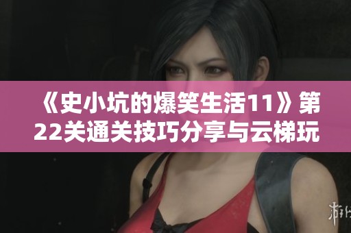 《史小坑的爆笑生活11》第22关通关技巧分享与云梯玩法解析