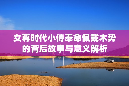 女尊时代小侍奉命佩戴木势的背后故事与意义解析