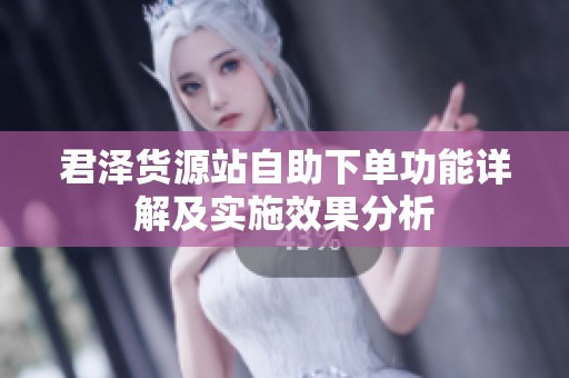 君泽货源站自助下单功能详解及实施效果分析