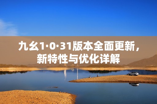 九幺1·0·31版本全面更新，新特性与优化详解