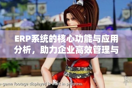 ERP系统的核心功能与应用分析，助力企业高效管理与决策