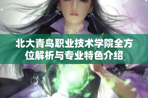北大青鸟职业技术学院全方位解析与专业特色介绍