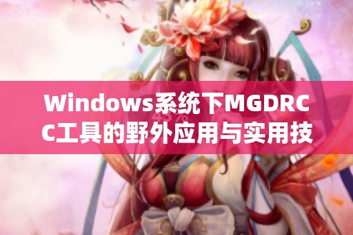 Windows系统下MGDRCC工具的野外应用与实用技巧探讨