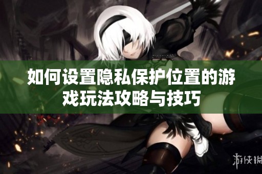 如何设置隐私保护位置的游戏玩法攻略与技巧