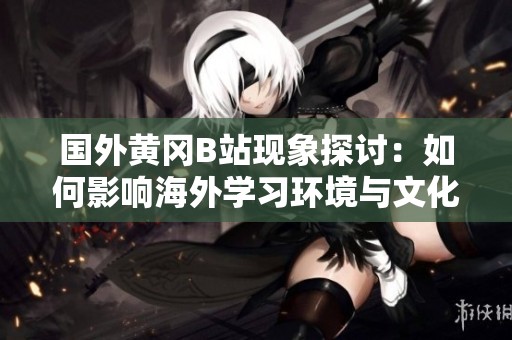 国外黄冈B站现象探讨：如何影响海外学习环境与文化交流