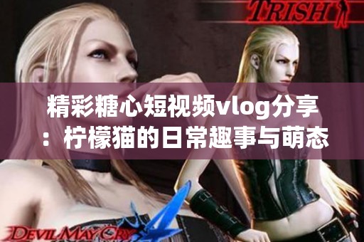 精彩糖心短视频vlog分享：柠檬猫的日常趣事与萌态展现