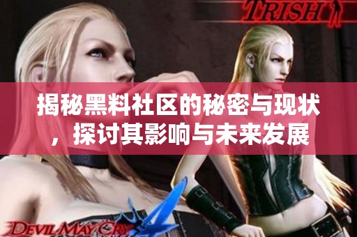 揭秘黑料社区的秘密与现状，探讨其影响与未来发展