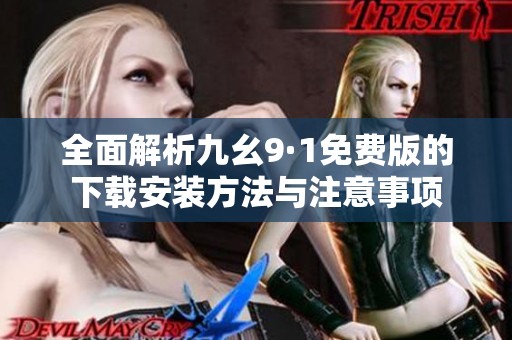 全面解析九幺9·1免费版的下载安装方法与注意事项