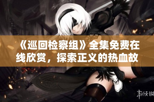 《巡回检察组》全集免费在线欣赏，探索正义的热血故事