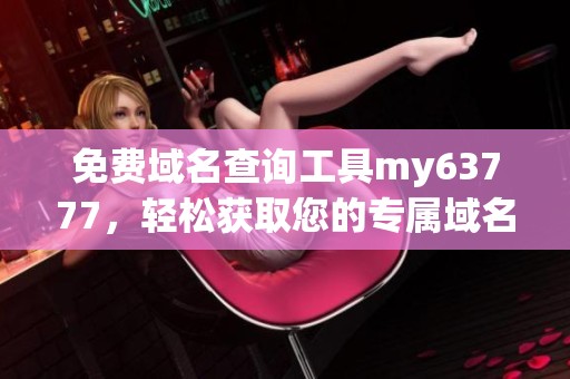 免费域名查询工具my63777，轻松获取您的专属域名信息