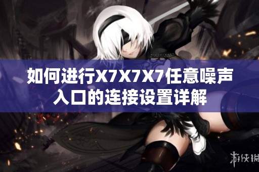 如何进行X7X7X7任意噪声入口的连接设置详解