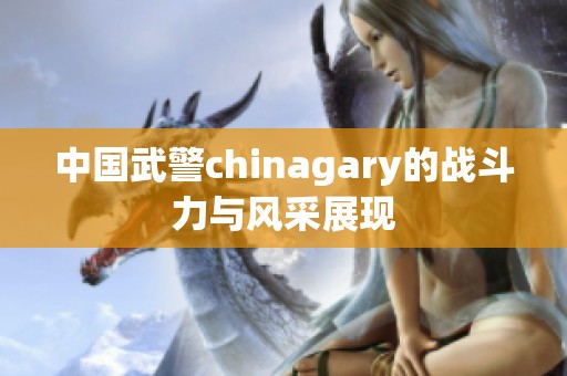 中国武警chinagary的战斗力与风采展现