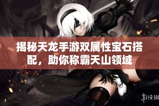 揭秘天龙手游双属性宝石搭配，助你称霸天山领域