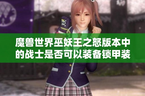 魔兽世界巫妖王之怒版本中的战士是否可以装备锁甲装备详解